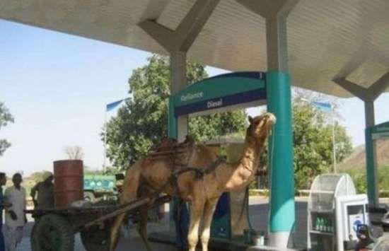 It can Happen Only in India They’re Seriously Funny LOL!