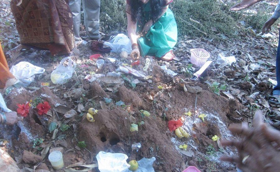 Nagula Chavithi Celebrations 2016 Photos