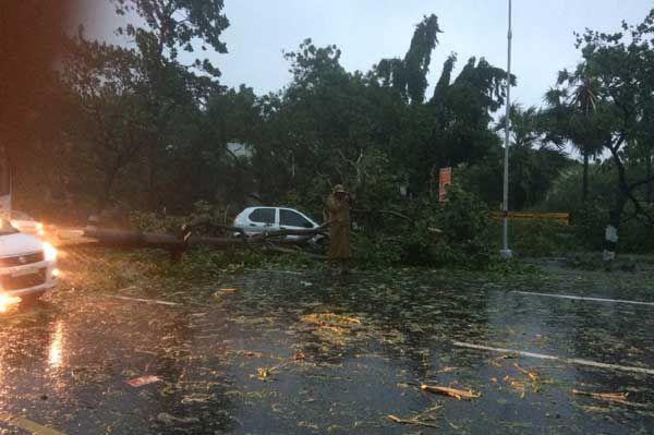 Effects of Vardah Cyclone in Chennai Photos