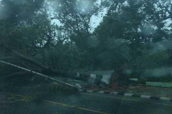 Effects of Vardah Cyclone in Chennai Photos