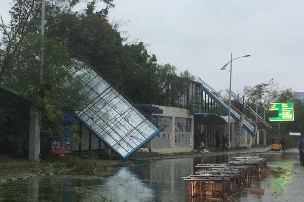 Effects of Vardah Cyclone in Chennai Photos