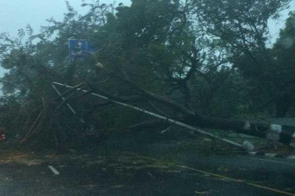 Effects of Vardah Cyclone in Chennai Photos
