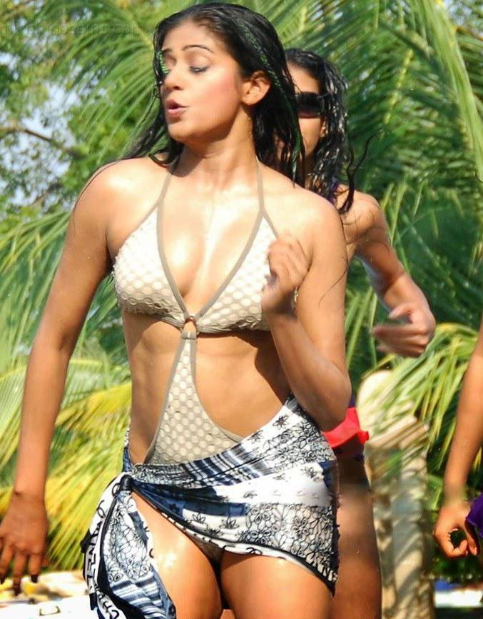 Actress Priyamani Sexy Images