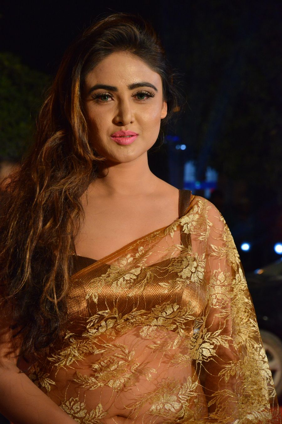 Actress Sony Charishta Hot Photoshoot