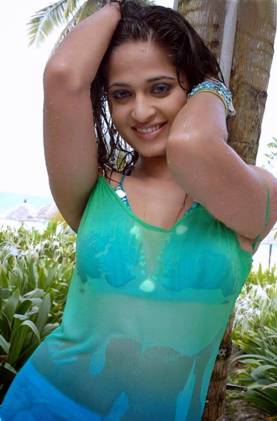 Anushka Shetty Hot & Sexy Wet Collection Photos