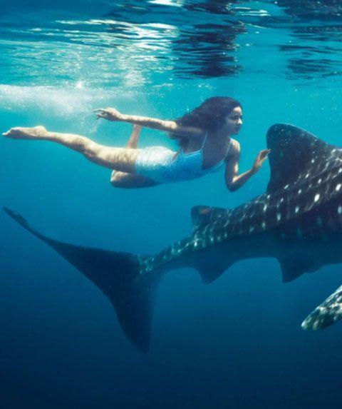 Glamorous Photoshoot Of Indian Celebrities