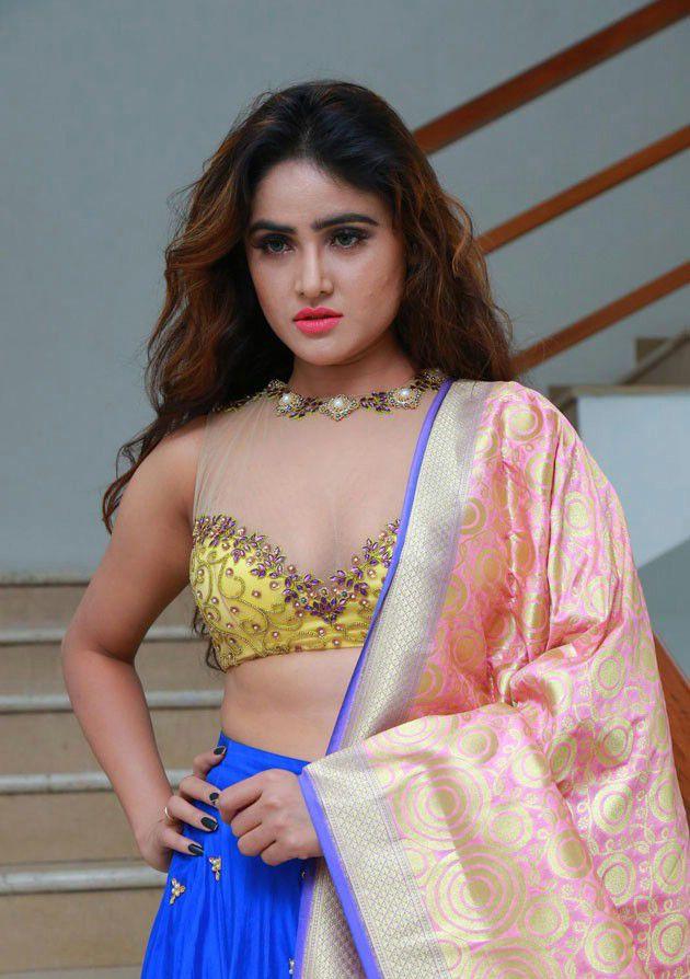 Sony Charishta Latest Hot Sexy Clevage Show Photos