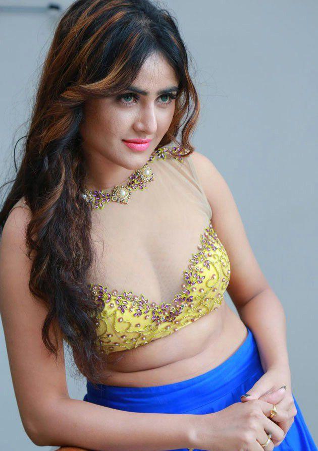 Sony Charishta Latest Hot Sexy Clevage Show Photos