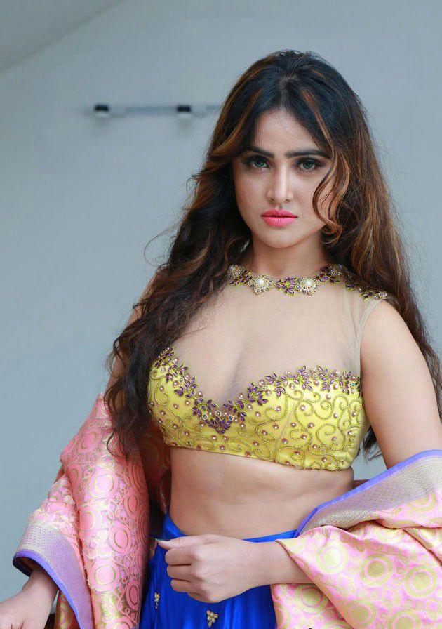 Sony Charishta Latest Hot Sexy Clevage Show Photos