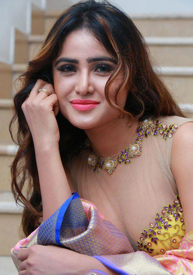Sony Charishta Latest Hot Sexy Clevage Show Photos