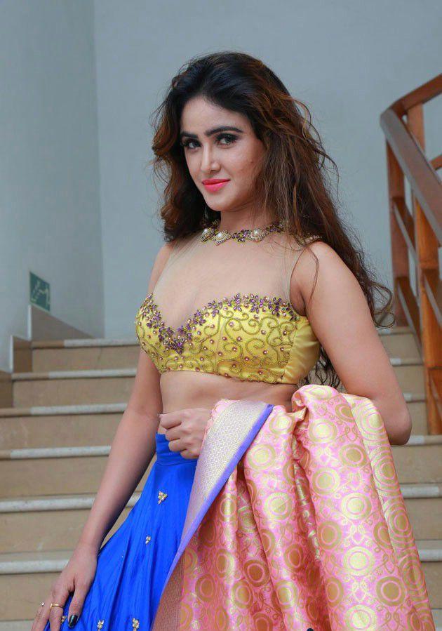 Sony Charishta Latest Hot Sexy Clevage Show Photos