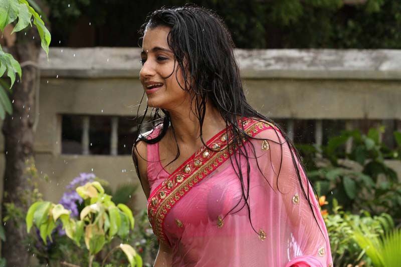 Trisha Krishnan Wet Hot Saree Photos