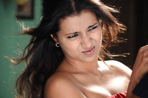 Trisha Krishnan Wet Hot Saree Photos