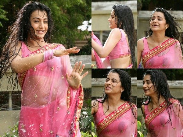 Trisha Krishnan Wet Hot Saree Photos
