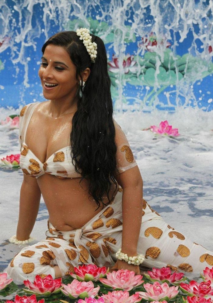 Vidya Balan Hot and Spicy Photos