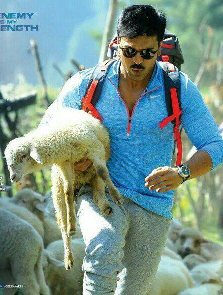 Ram Charan Dhruva Latest Pics