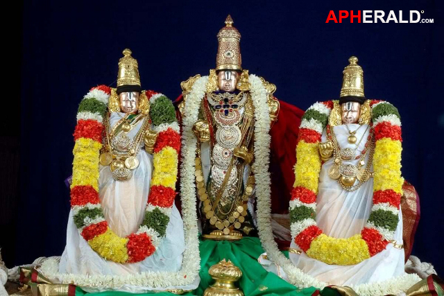 Lord Venkateswara Wallpapers