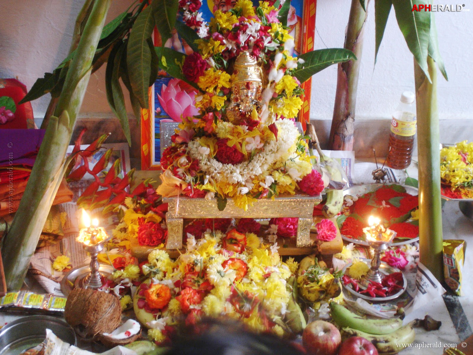 a sample image