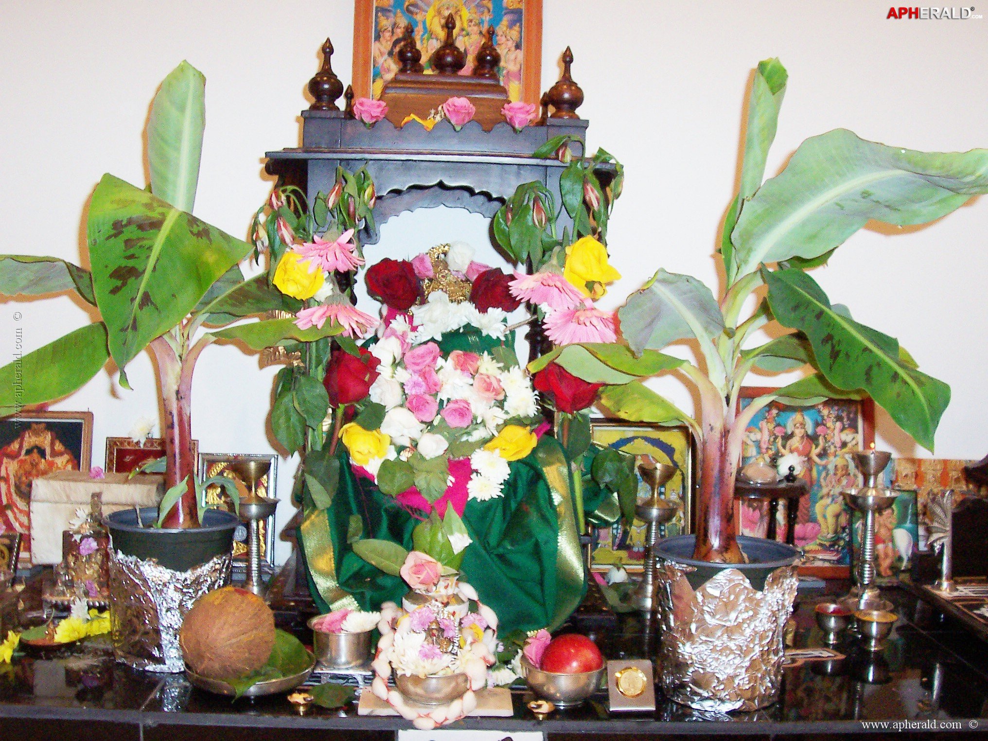 a sample image