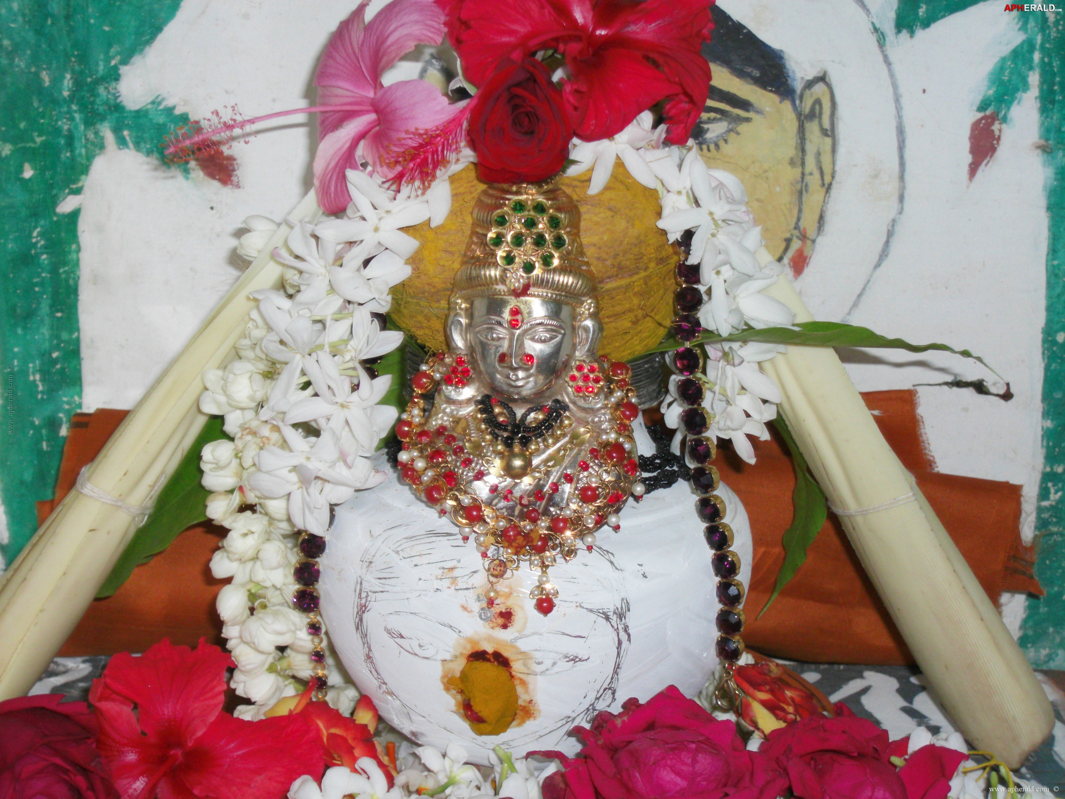 a sample image