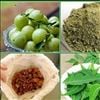 Use these Herbs for Hair Growth 