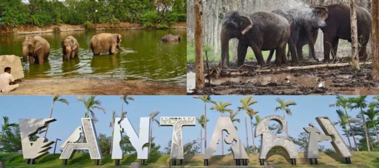 Mukesh Ambani’s Son Built a ‘Sanctuary.’ It May Be the World’s Biggest Wildlife Crime Scene.