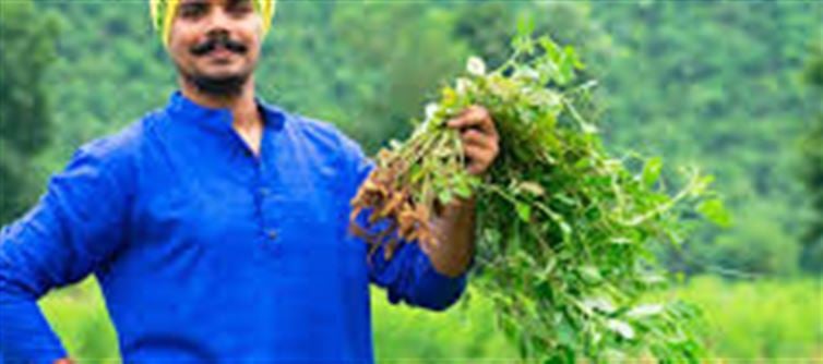 PM Kisan Yojana: Know When the 23rd Installment Will Be Released
