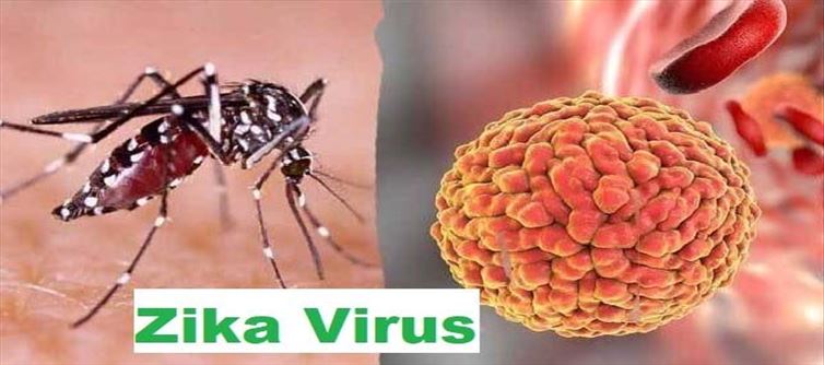 వేగంగా విస్త‌రిస్తున్న జికా వైర‌స్‌