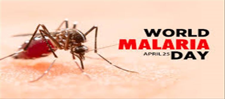 World Malaria Day: Avoid these malaria risk factors...