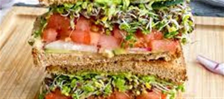 Sprouts Sandwich Recipe explain