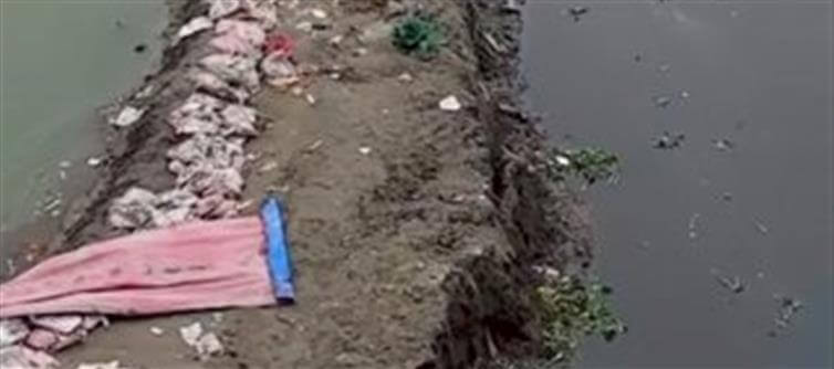 Did Mamata Forget Haryana?!