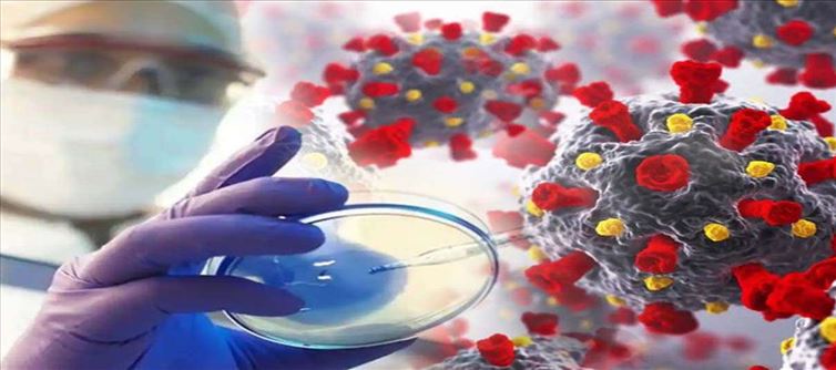 Throwback 2021# 5 diseases that have threatened India in 2021??
