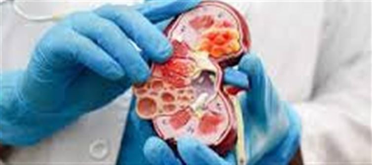 కిడ్నీ వ్యాధులతో బాధ పడుతున్నారా.. ఈ ఆహారాలను మాత్రం అస్సలు తినొద్దు!