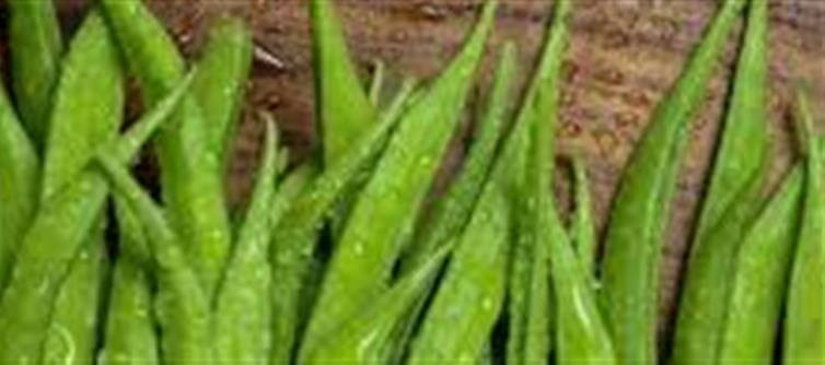 10 Amazing Health Benefits of Cluster Beans