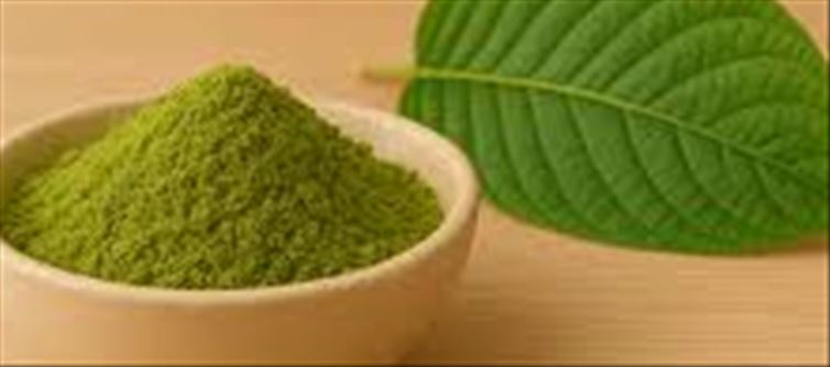 🌿 Best Kratom Vendors for Green Maeng Da (Proven Picks)