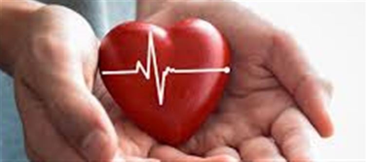 🩺 Health Insurance Alert: Small Mistakes Can Lead to Big Losses During Claims