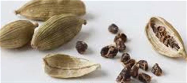 Cardamom Water Benefits for Clear and Glowing Skin