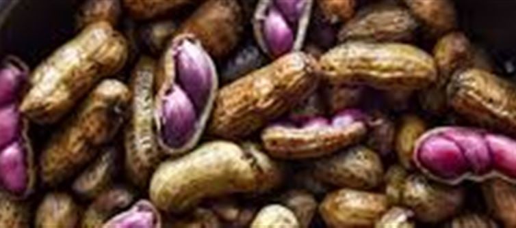 Discover the Health Benefits of Boiled Peanuts