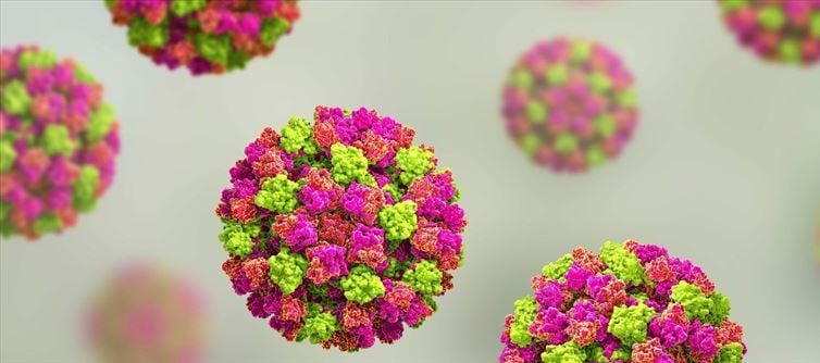 Norovirus, micro organism determined in Pune
