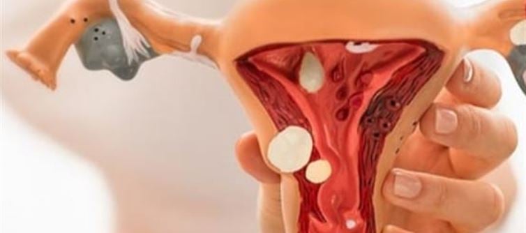 Pregnancy After Endometriosis: Myths vs Facts Explained ..