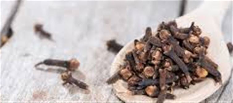 What Happens If You Drink Clove Water Before Bed? Learn the Benefits and Start Today