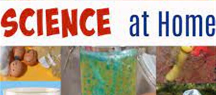 Fun Science Experiments You Can Do at Home!