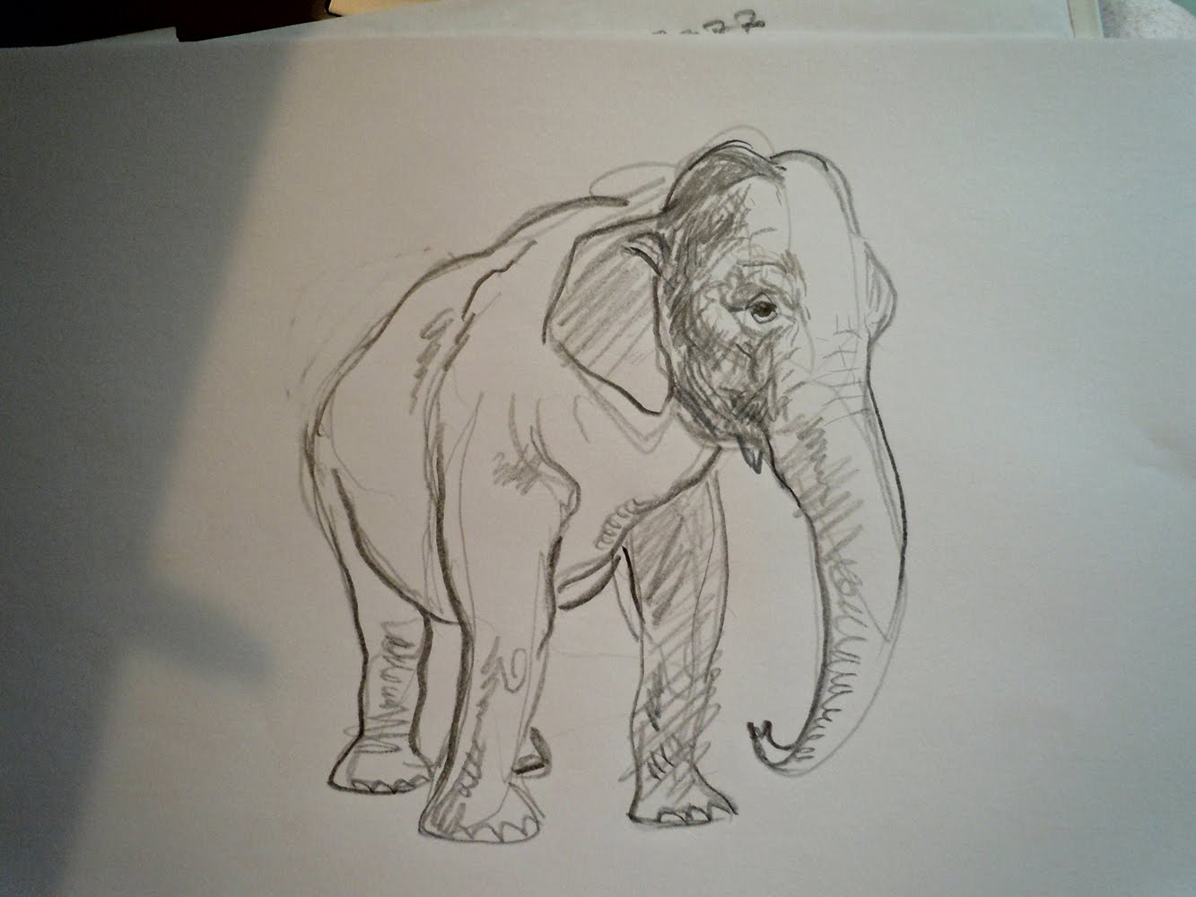 Elephant Painting
