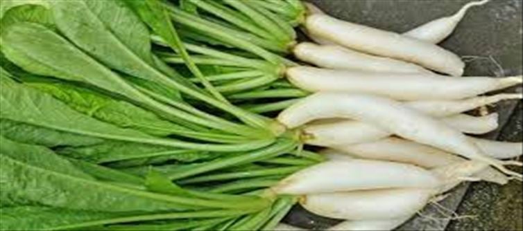 వాట్.. ముల్లంగి ఆకులతో ఇన్ని ప్రయోజనాలు ఉన్నాయా..?