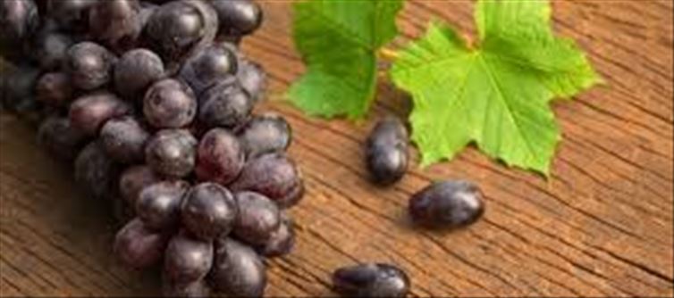 ద్రాక్ష పండ్లు తినడం వల్ల కలిగే బెనిఫిట్స్ ఇవే.. ఈ విషయాలు తెలుసుకోండి!