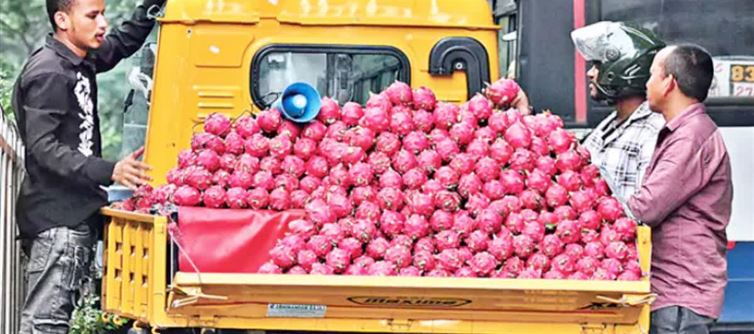 అప్పుడు 200 రూపాయలు.. ఇప్పుడు 10 రూపాయలు.. ఈ పండు పరిస్థితి మరీ ఇంత ఘోరమా?