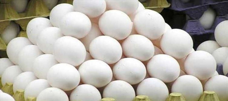 కోడిగుడ్లు ఎవరు ఎక్కువగా తినాలి.. ఈ విషయాలు కచ్చితంగా గుర్తుంచుకోండి!