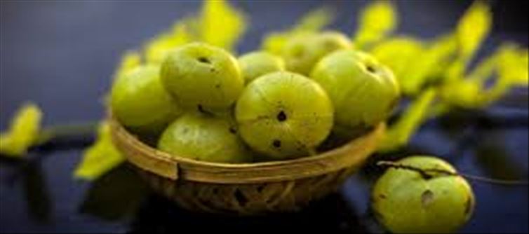 ఉసిరికాయతో ఏడు సింపుల్ రెసిపీస్..!