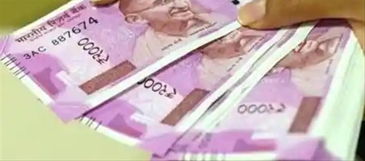 మనీ: గ్రామాలలో ఉంటూ తక్కువ పెట్టుబడితో ఎక్కువ లాభం..!!