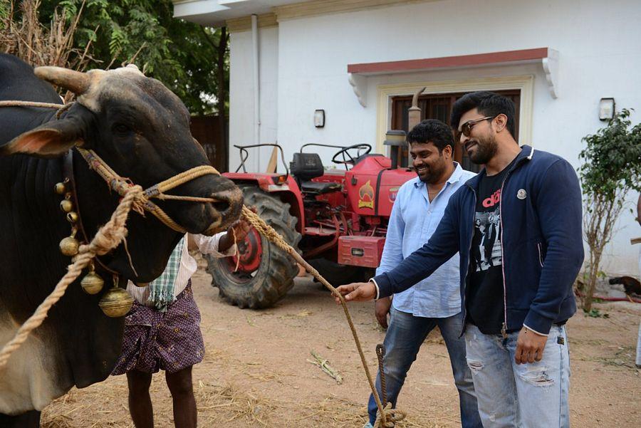 Actor Ram Charan 2017 Latest Stills